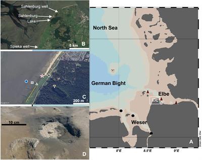 Groundwater springs in the German Wadden Sea tidal flat: A fast-track terrestrial transfer route for nutrients and dissolved organic matter